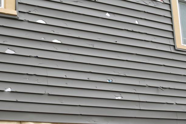Best Siding Removal and Disposal  in Sylvester, GA